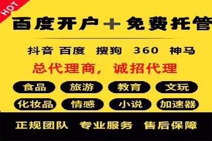 百度SEO推广成功案例：品牌知名度提升